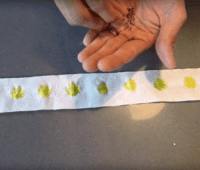 Bande de graines en papier