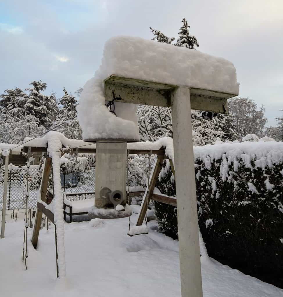 mangeoire pour oiseaux sous la neige