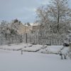 Potager sous la neige