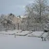 Potager sous la neige