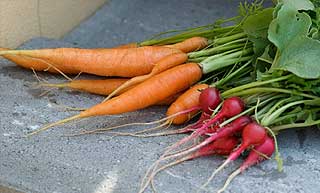bienfaits de la carotte