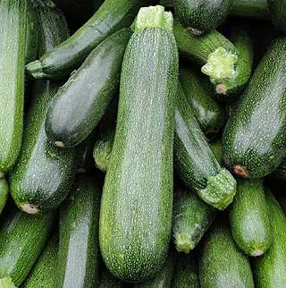 La courgette