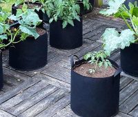 Avis sur les sacs à planter
