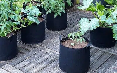 Avis sur les sacs à planter