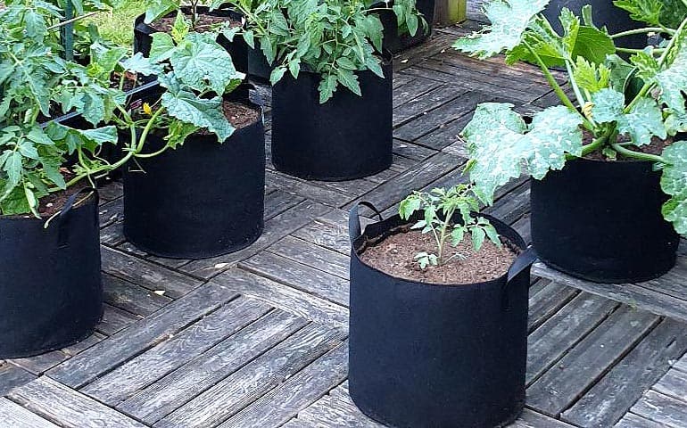Paquet de 5 Grands Sacs de Culture réutilisables Pots de Plantation pour Plantes/légumes/Fleurs 40 x 30 x 20 cm CXZC Lits de Jardin surélevés en Tissu 24L 