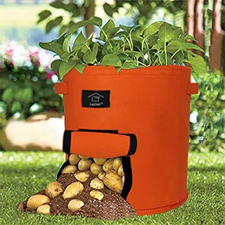 Sac de Culture Croissance Sac en Tissu hydroponique Sac de Plantation  Respirant Sac Plante de semis Plante à côté Souple avec poignée Courroie  légumes Pomme de Terre Carotte Tomate Oignon(Marron) : 