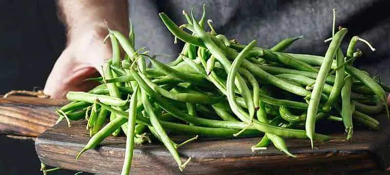 origine du haricot vert