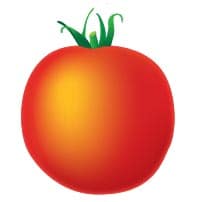Tomate ronde