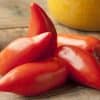 Tomates de type cornes