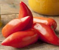 Tomates de type cornes