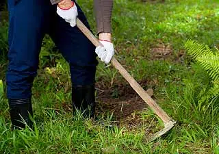 La binette est un outil de jardinage polyvalent