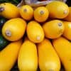 différentes sortes de courgettes