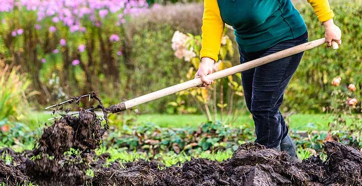 fourche-bêche pour le potager