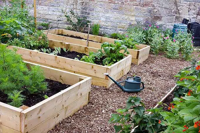 comment arroser son potager