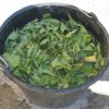 Le purin de plantes
