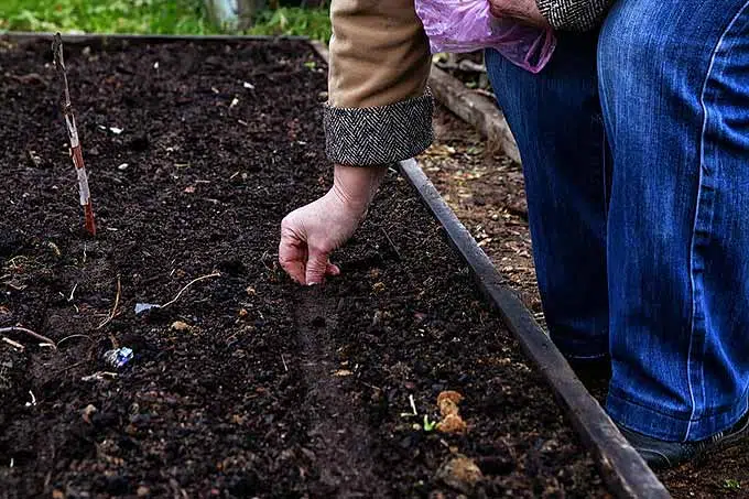 choisir le terreau pour mon potager