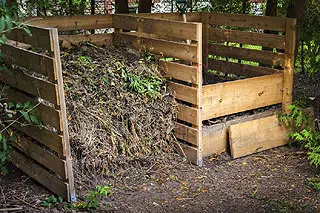 Marc de café dans le compost