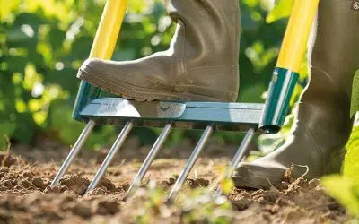 choisir une grelinette pour le potager