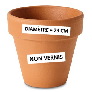 Pot en terre cuite non vernis