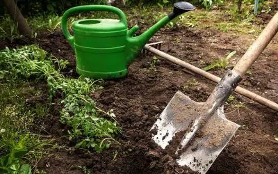 préparer et nourrir la terre