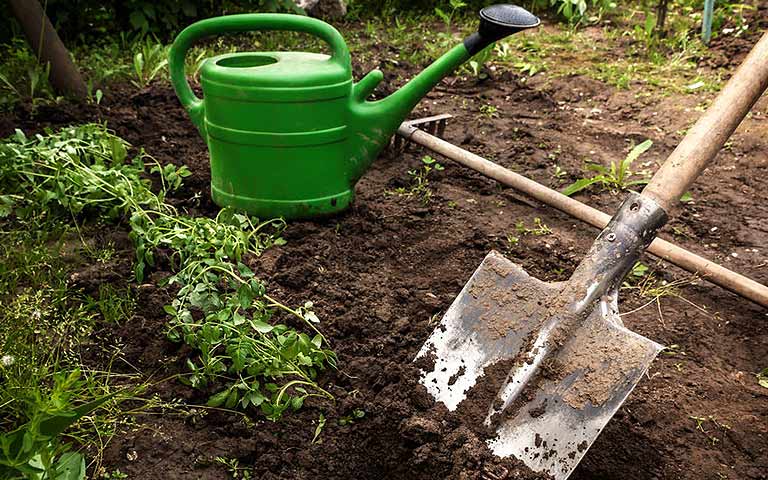 Pourquoi le jardinage nous fait-il autant de bien ?