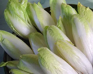 Les bienfaits de l'endive