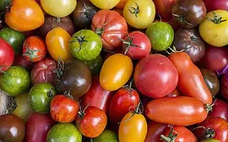 Bienfaits des tomates
