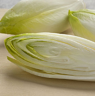 Fiche culture endive