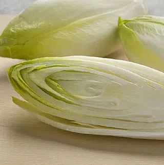 Fiche culture endive