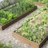 Potager en permaculture