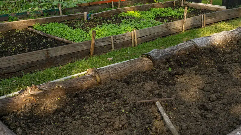 Potager en permaculture