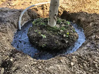 Remplir le trou d'eau