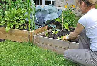 Jardinage - Un potager hors sol mais pas sans saveur grâce à l