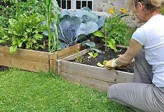 potager surélevé pour sol ingratpotager surélevé pour sol ingrat