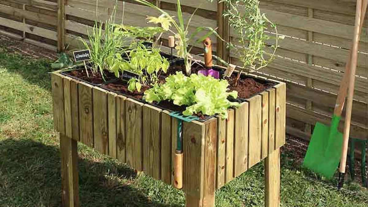 Fabriquer Carré Potager Surélevé Palette Potager sur pied : le fabriquer ou l'acheter au meilleur prix ?