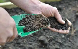 Choix de la terre pour le potager