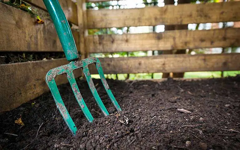 Au potager en février, veillez à fertiliser le sol.