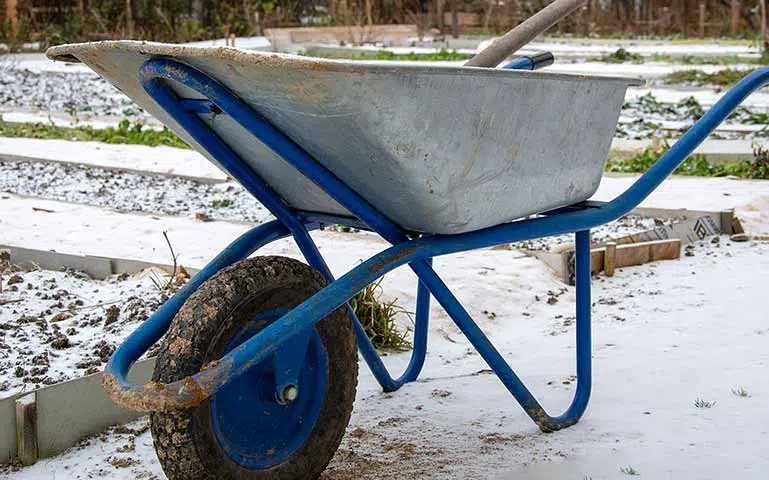 Au potager en janvier, faites un point sur les cultures à venir.