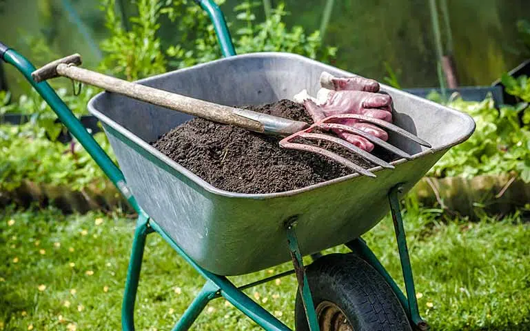 Au potager en mars, commencez à préparer vos parcelles.