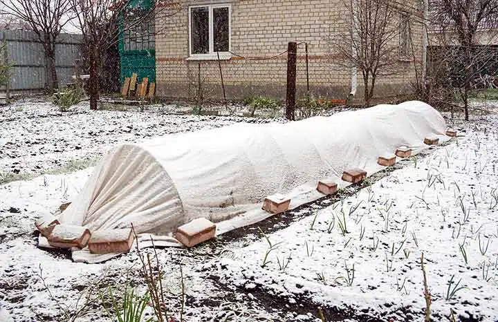 Potager protégé de la neige.