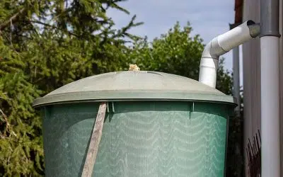 récupération d'eau de pluie