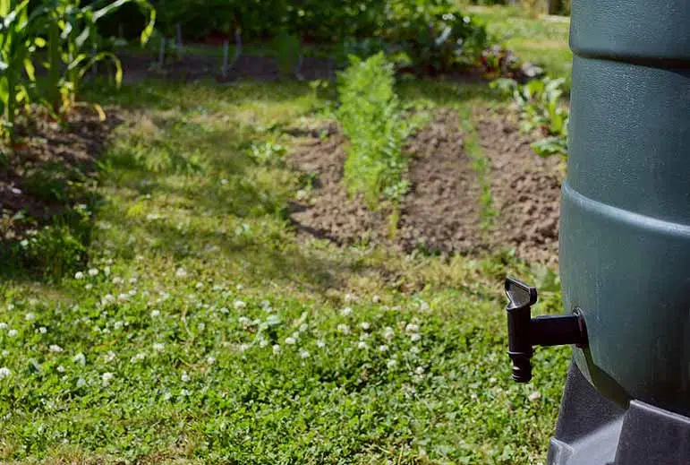 Cuve de stockage des eaux à proximité du potager