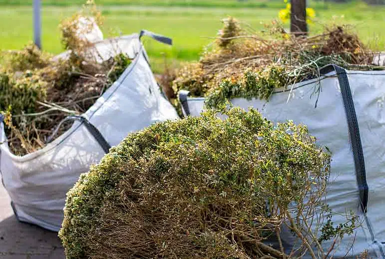 Modèle de sac de déchets verts à grande capacité