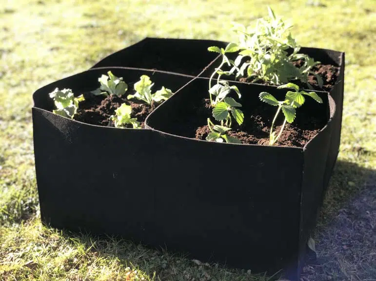 Carré potager en tissu