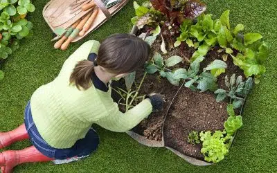 Carré potager en tissu (feutre, feutrine)