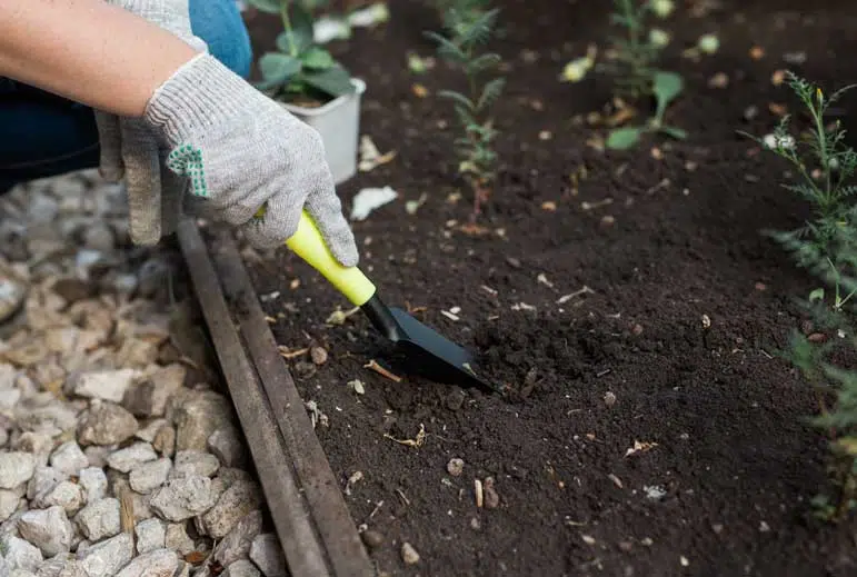 Préparer le sol pour le rendre plus meuble