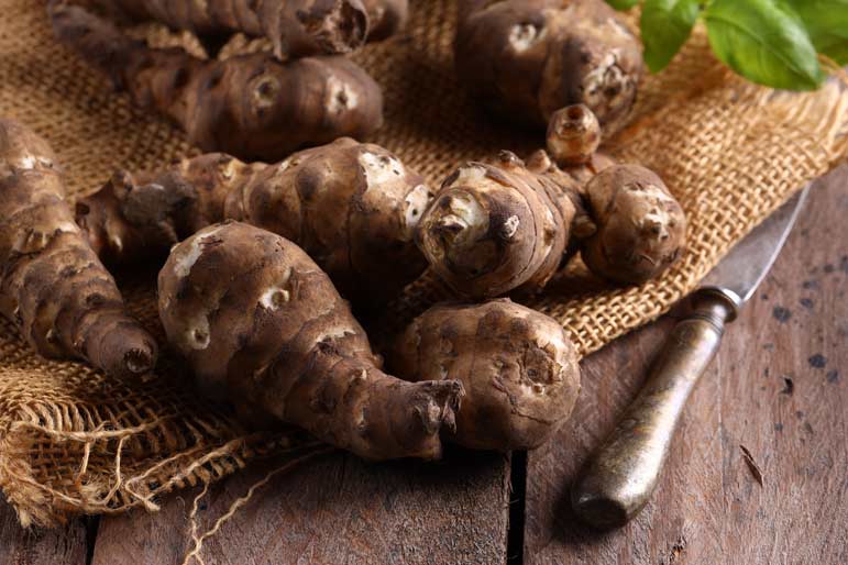 Le topinambour en cuisine