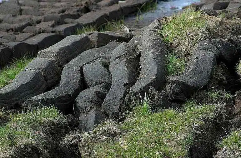 Tourbe qui sèche au soleil