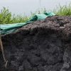 fumier pour fertiliser le potager