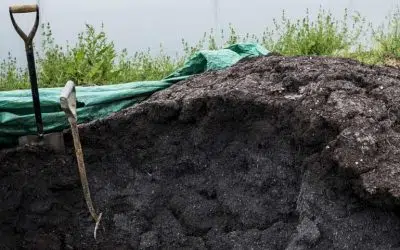 fumier pour fertiliser le potager